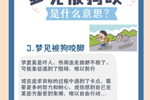 总梦见自己被狗咬，梦境背后的深层含义与心理解析
