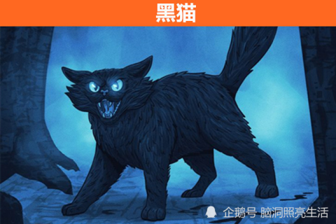 梦境的启示，我梦见我家的猫死了，身上沾满了蛆——探索深层心理与象征意义