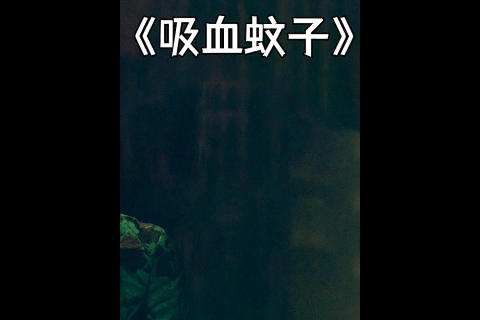 梦见全身是血，探索梦境背后的深层含义与心理解析