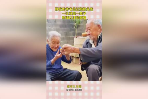 梦见自己死去的爷爷奶奶分钱，梦境背后的情感与寓意
