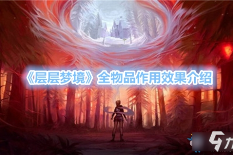 梦境解析，双重梦境中的情感纠葛与神秘交流
