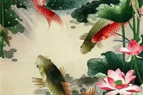 梦境中的红鲤鱼，福祸难测，寓意何在？