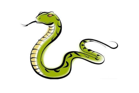 梦境解析，蛇的咬痕与吉凶预兆