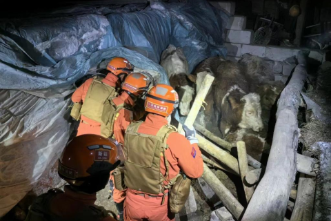 梦见地震房屋倒塌，梦境背后的深层预示与心理解析