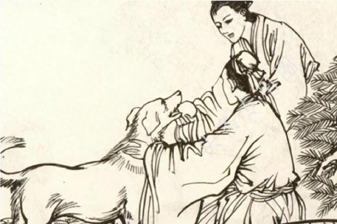 连续两天梦见怀孕，梦境背后的深层含义与心理解析