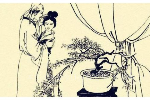探索梦境奥秘，有人会解梦么？我经历的一场奇异之旅