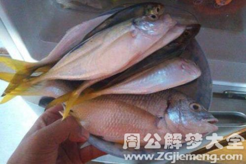 周公解梦，梦见在水里抓五条一模一样的鱼，预示着什么？