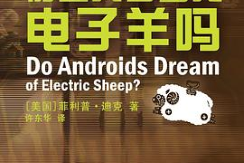 梦见被人用菜刀砍，一场梦境的深层解析与心理启示