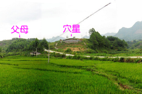 梦见坟，探寻梦境背后的深层含义与心理启示