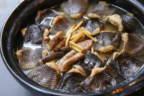 梦境解析，梦到朋友吃蛇肉，寓意何在？