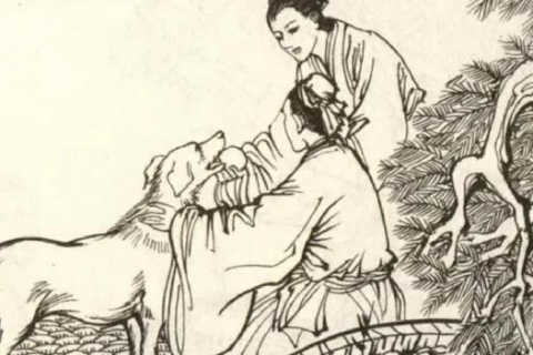 梦见死去的狗狗，心灵的慰藉与未竟的告别