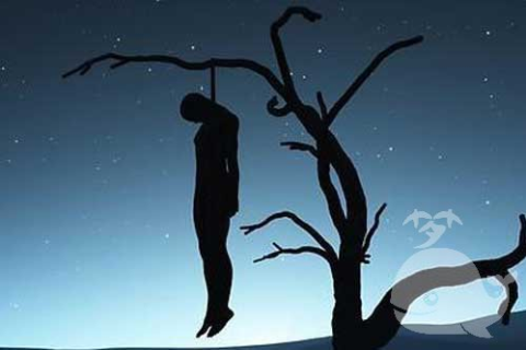 梦境与现实的交织，昨晚梦见已死去多年的爷爷又死了
