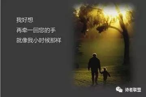 时光倒流之梦，与逝去父亲的重逢于往昔