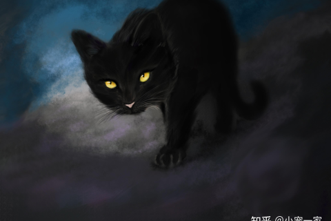 梦到黑猫，神秘梦境背后的深层含义