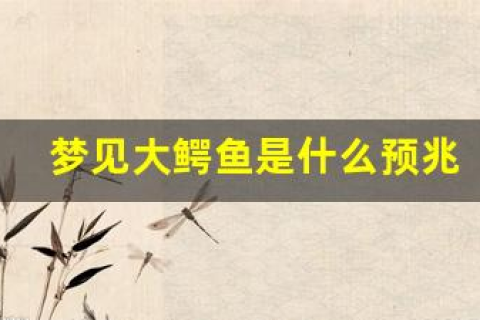 梦见远远看见鳄鱼，探索梦境背后的深层含义
