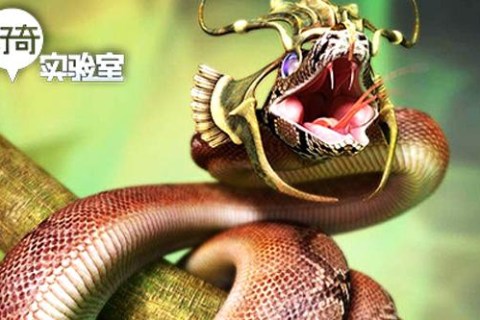 梦见自己砍死蛇蛇的头没了还跑了，解读梦境中的象征与心理暗示