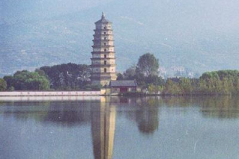 梦境解析，梦见天上发大水却安然无恙，河中有龙——寓意与象征的深度解读