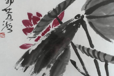 梦见老年人怀孕，梦境背后的深层寓意与心理解析