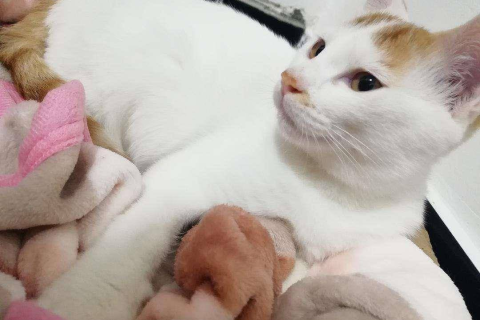 生死轮回之梦，解析梦中亲人死而复生的深层含义