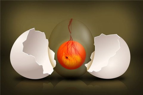 女人梦见鸡蛋都碎了，梦境背后的深层含义与心理解析