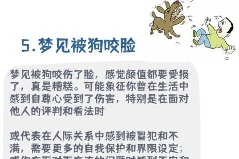 梦境解析，为何会梦到被4条狗咬伤？