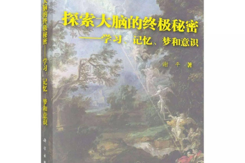 梦境解析，昨晚蛇之梦——探索潜意识中的象征与启示