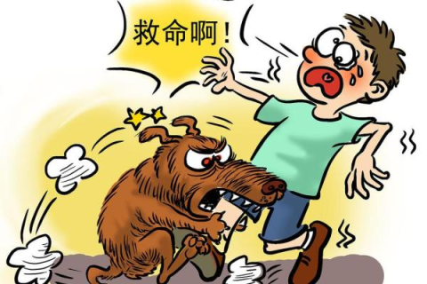 梦见狗乱咬自己的包，解读梦境中的警示与启示