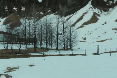 夏日梦境中的奇异景象，解析梦到夏天下雪的深层含义