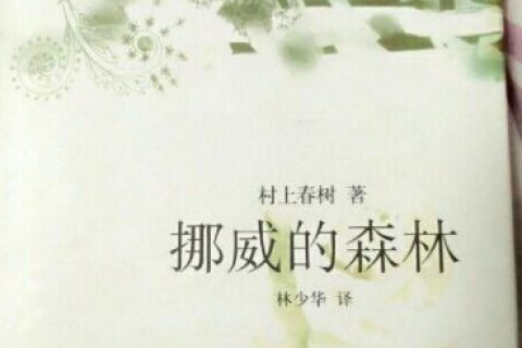 梦见去世的亲人说想我，解读梦境中的情感纽带与心灵慰藉