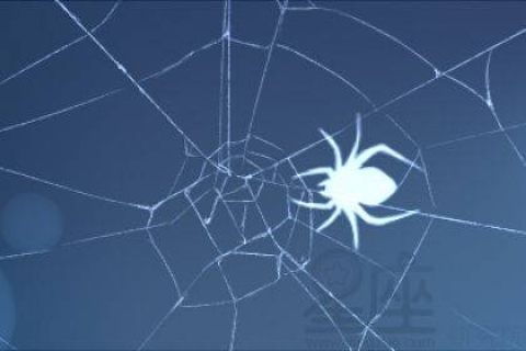为什么经常梦见同一个人？深度解析梦境中的神秘联系