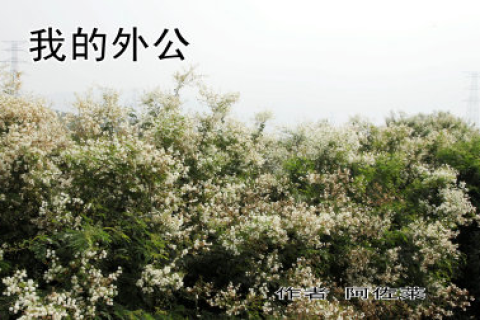 梦境中的温暖延续，解析为何常梦见已故外公并赠予财物