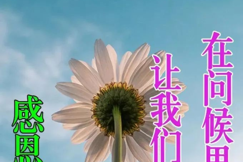 梦见已故的亲人在梦里死去，探寻梦境背后的深层含义与心理解析