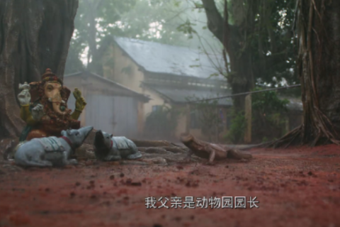 梦境中的隐喻，解析梦到朋友拿一只受伤的老鼠吓我的深层含义