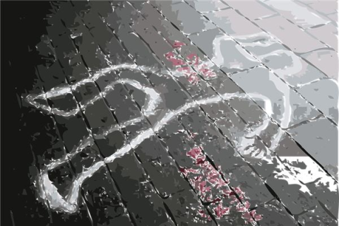 梦见家中有死尸，梦境背后的深层含义与心理解析