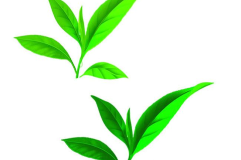 孕妇梦见吃桃子，寓意与解析