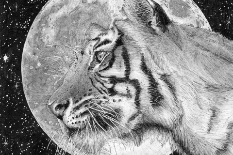 梦境交织，猴子与老虎的奇幻之旅