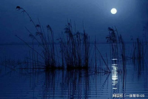 梦回深处，是遗忘还是思念的延续？——解析梦境中的情感纠葛