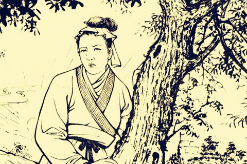 梦境的交错，梦见打死一条黑蛇却被另一条咬了，寓意何在？