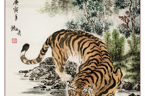 虎年梦见老虎，探寻梦境中的王者之兆