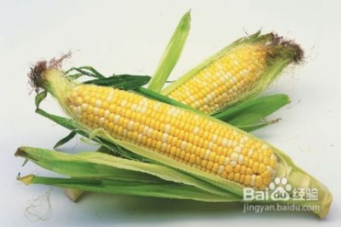 孕妇梦见从地里挖出拨光的玉米，寓意与解析