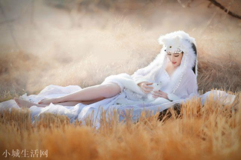 梦见狐狸向我扑来，隐秘与诱惑的梦境解析