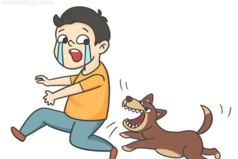 梦见丢东西还被狗咬，解读梦境背后的深层含义