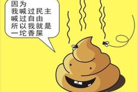 做梦梦见屎，探索梦境中的隐秘信息