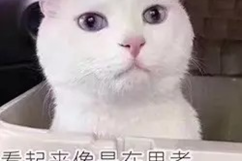 解梦，梦见喜欢的人向我走来