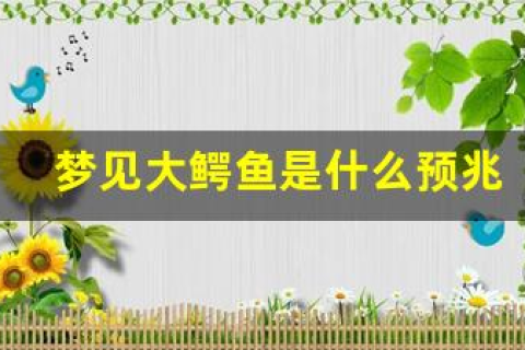 梦见鳄鱼与巨蟒，探索梦境深处的隐秘象征