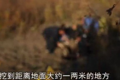 梦境的温柔告别，解析梦见死人对你笑着说再见的深层含义
