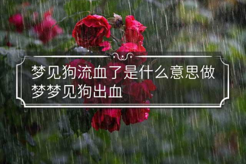 梦境解析，做梦梦到有动物受伤流血