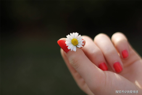 孕妇梦见老公买了一束白色的花送给自己，寓意与解析