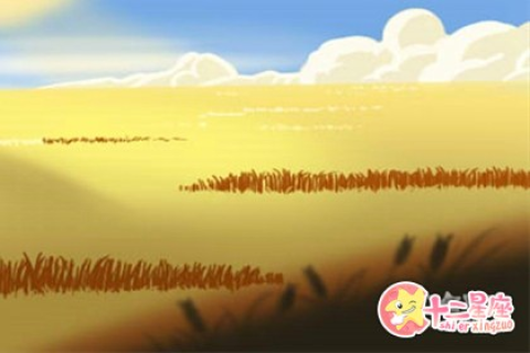 梦到自己死了又活了，一场生命循环的隐喻与心灵探索