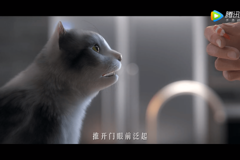 解梦，青蛇咬猫之梦的含义与解析